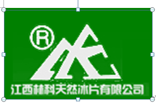 江西林科龙脑科技股份有限公司logo