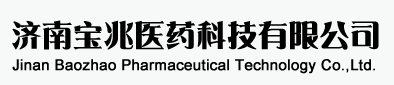济南宝兆医药科技有限公司logo