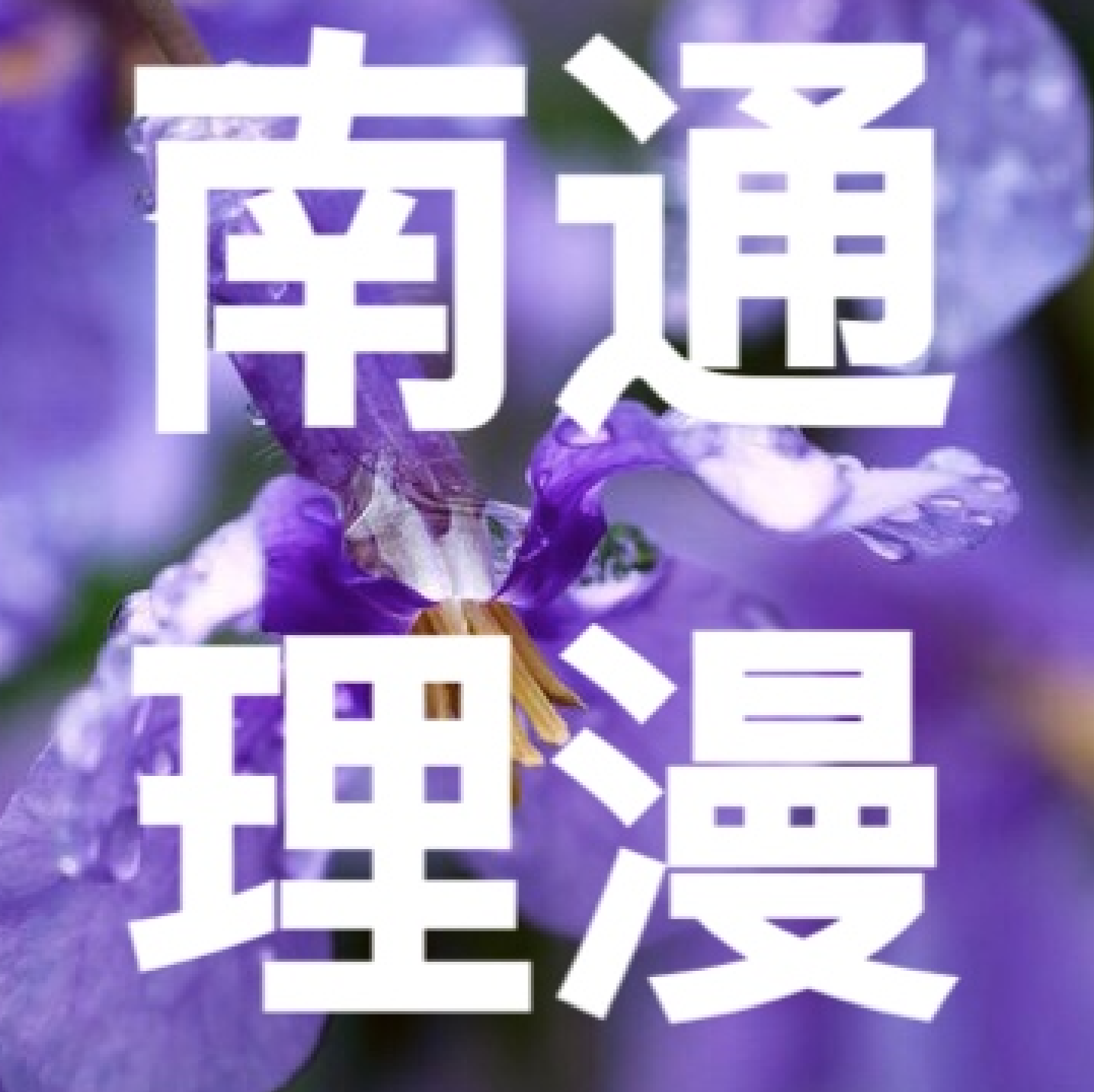 南通理漫化工有限公司logo