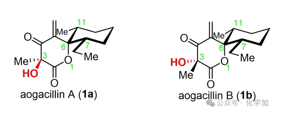 1765430741365335.png image.png