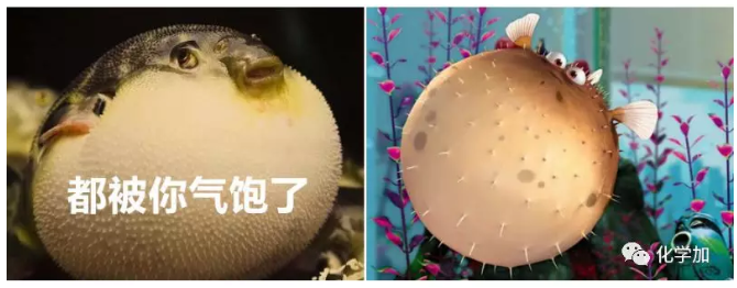1565848873135589.png image.png